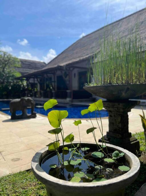 Bali Berg Villa, Sanur Zewnętrze zdjęcie